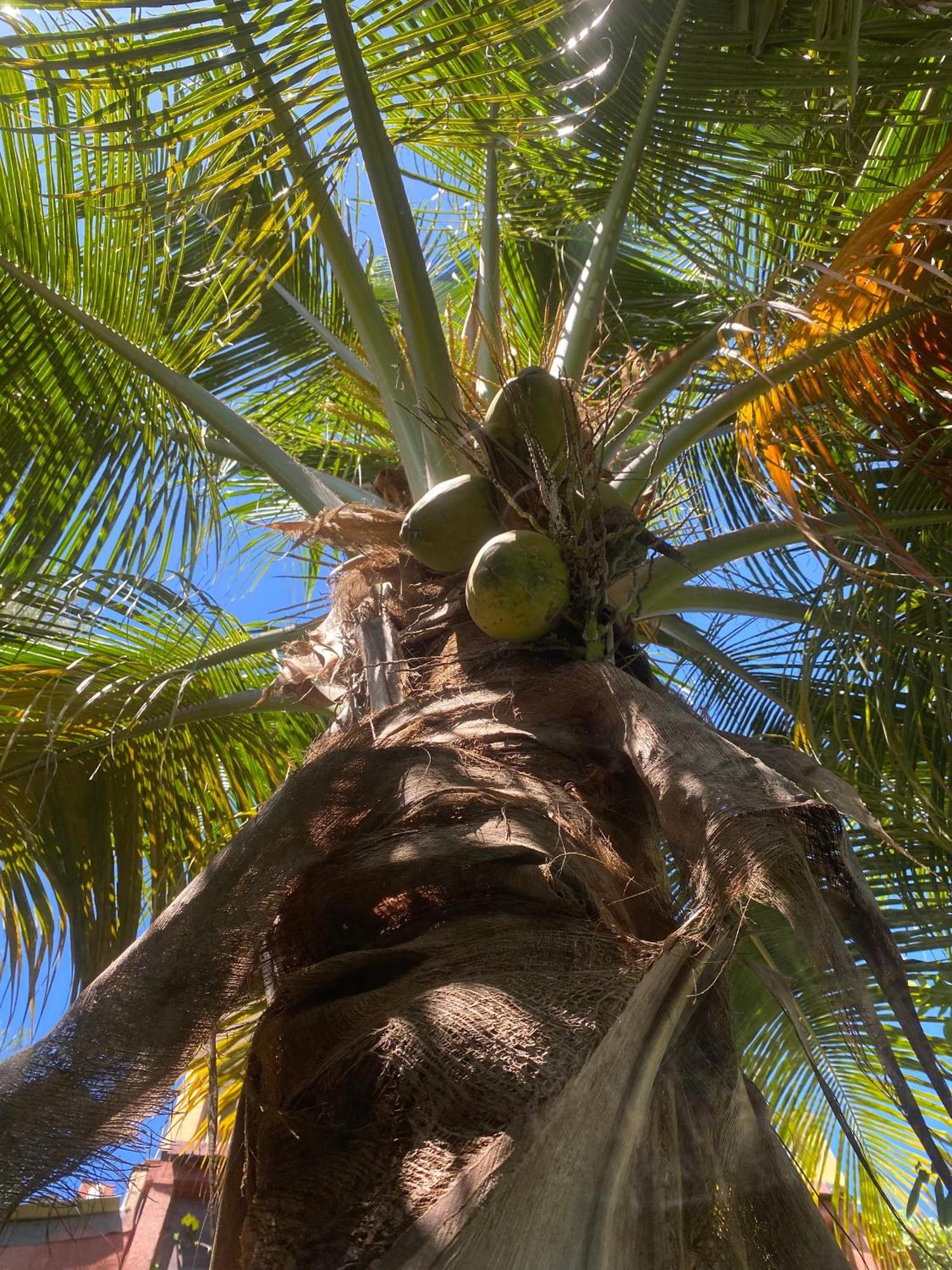 Fabuleuse Villa Keur Bibou Dakar Exteriör bild